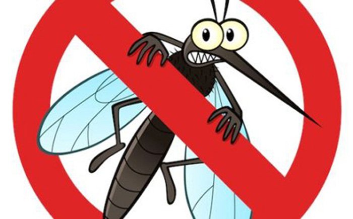 Dịch vụ phun thuốc diệt muỗi mối tận gốc Nam Đàn, Thanh Chương Nghệ An