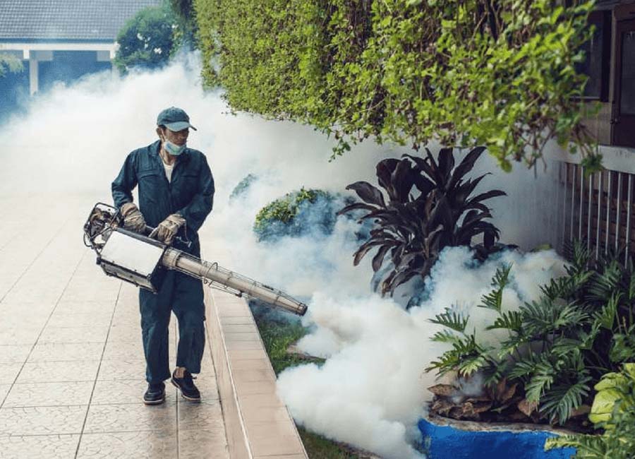 Dịch vụ phun thuốc diệt muỗi mối tận gốc Nghi Lộc, Diễn Châu Nghệ An