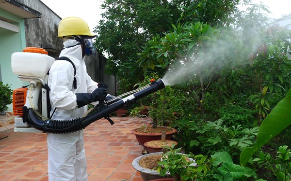 Dịch vụ phun diệt muỗi mối Cửa Lò Nghệ An